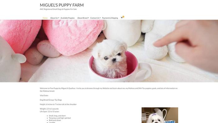 Miguelfarm.com - Pomsky Puppy Scam Review