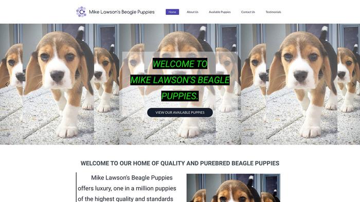 Mikelawsonbeaglebabies.com - Beagle Puppy Scam Review