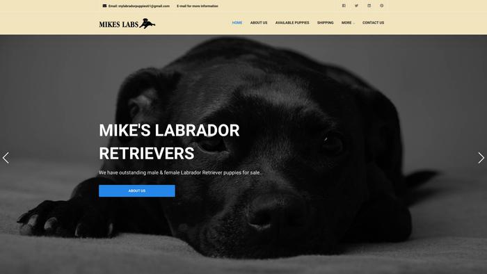 Mikeslabradors.com - Labrador Puppy Scam Review