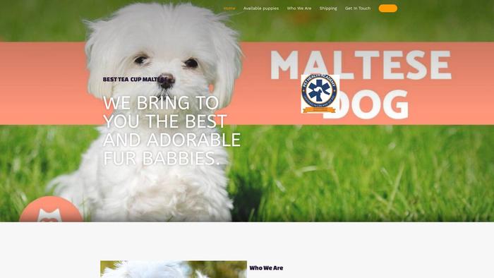 Minisizemaltese.com - Maltese Puppy Scam Review