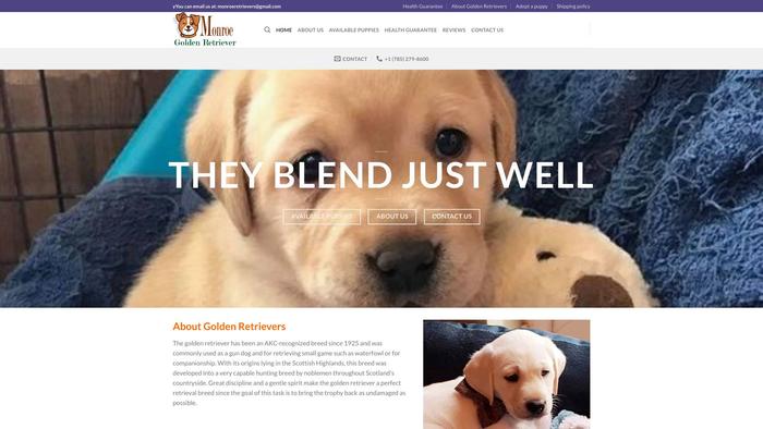 Monroegoldenretrievers.com - Golden Retriever Puppy Scam Review