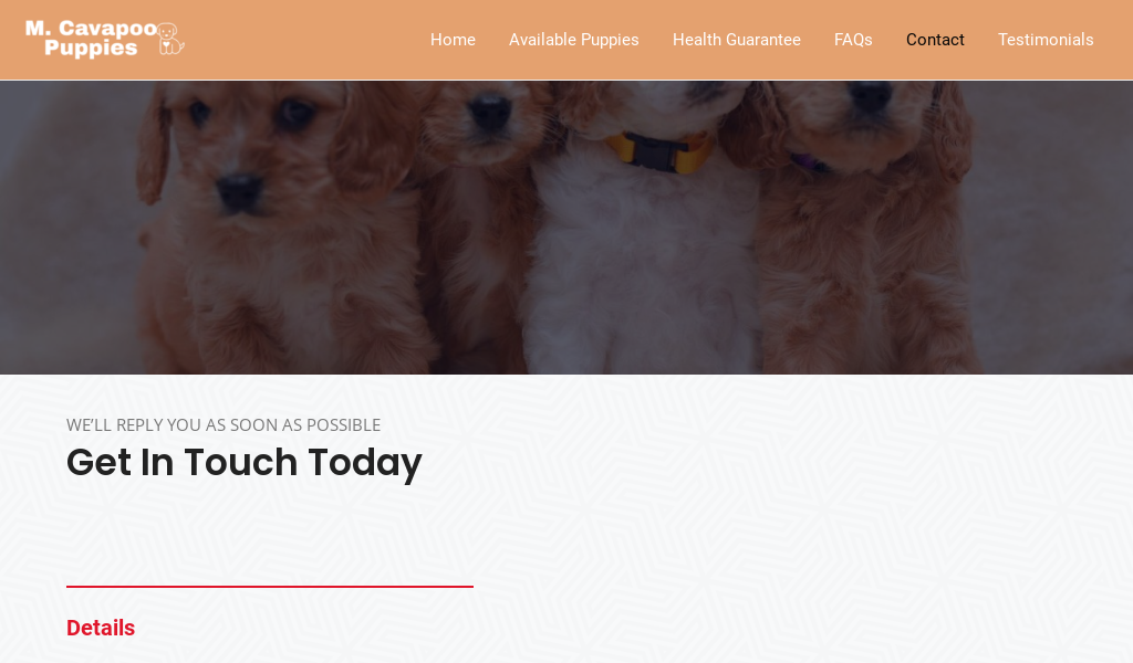 Morgancavapoopuppies.com - Cavapoo Puppy Scam Review