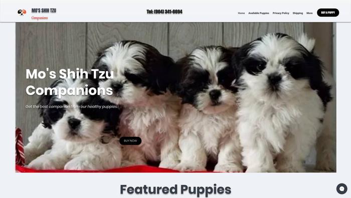 Moshihtzu.com - Shihtzu Puppy Scam Review