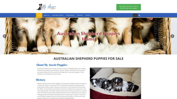 Myaussiepuppieshome.com - Australian Shepherd Puppy Scam Review