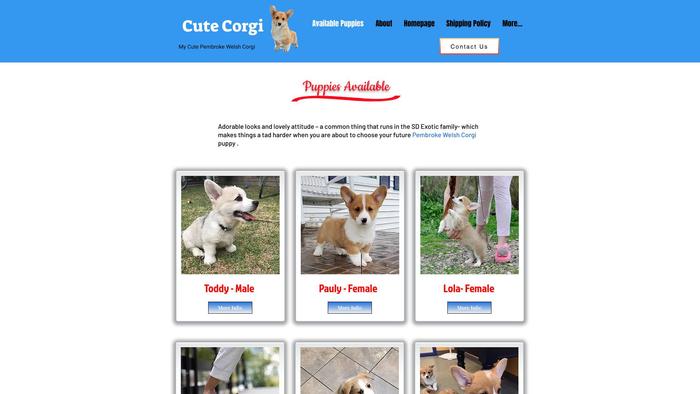 Mycutpembrokeewelshcorgi.com - Corgi Puppy Scam Review