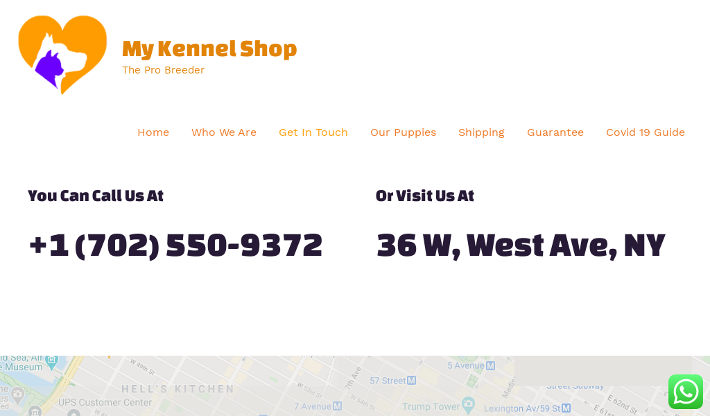 Mykennelshop.com - French Bulldog Puppy Scam Review