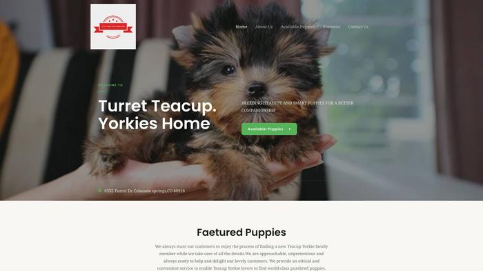 Mypuppiesshome.com - Yorkshire Terrier Puppy Scam Review