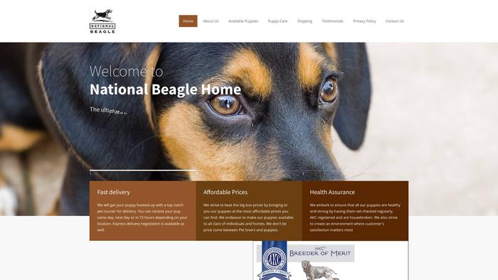 Nationalbeaglehome.com - Beagle Puppy Scam Review