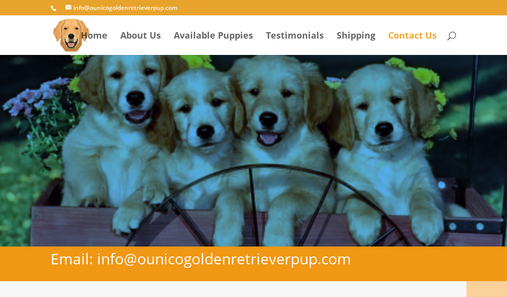 Ounicogoldenretrieverpup.com - Golden Retriever Puppy Scam Review