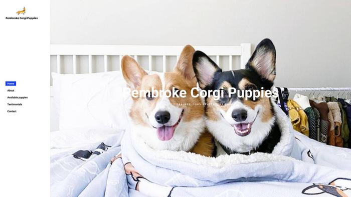 Pembrokecorgipuppies.com - Corgi Puppy Scam Review