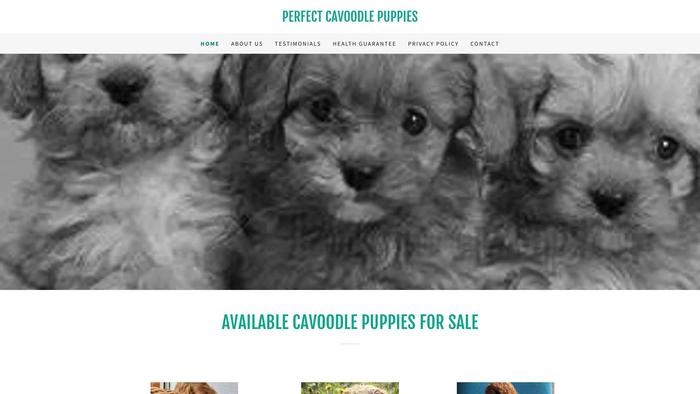 Perfectcavoodlepups.com - Cavapoo Puppy Scam Review