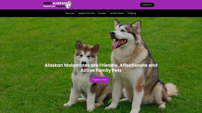 Perryalaskanmalamutepuppies.com - Malamute Puppy Scam Review