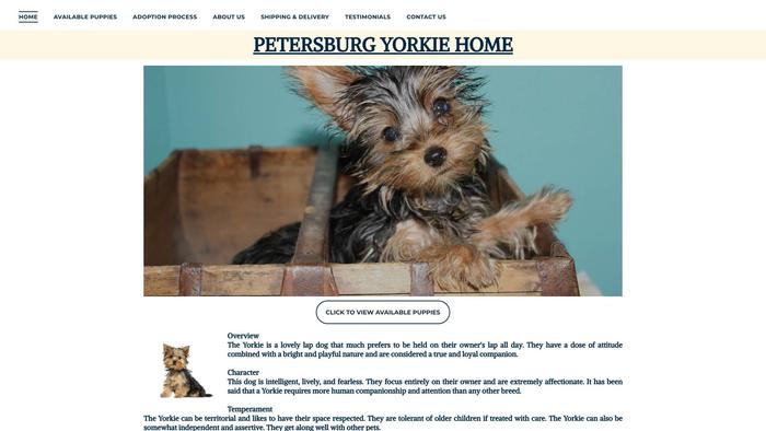 Petersburgyorkiehome.com - Yorkshire Terrier Puppy Scam Review