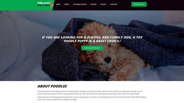 Philiphockspoodlepuppies.com - Poodle Puppy Scam Review