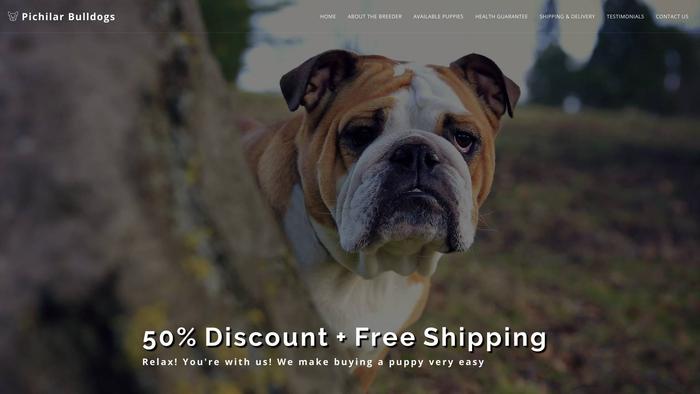 Pichilarbulldogs.com - Bulldog Puppy Scam Review