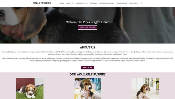 Pinasbeagles.com - Beagle Puppy Scam Review