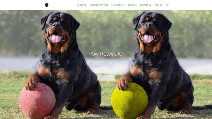 Powerrotties.com - Rottweiler Puppy Scam Review