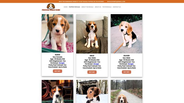 Preciousbeaglehome.com - Beagle Puppy Scam Review