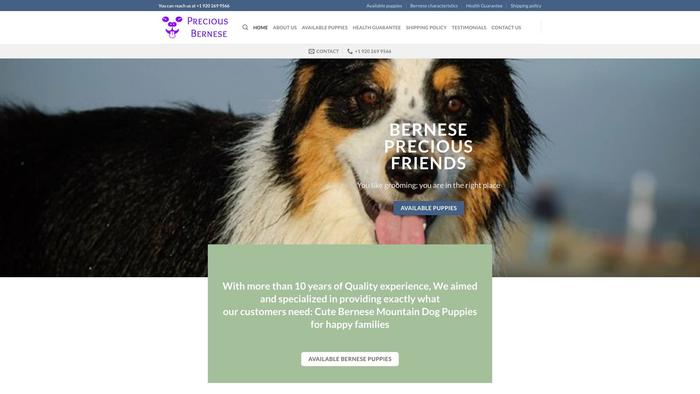 Preciousbernese.com - Bernese Mountain Dog Puppy Scam Review