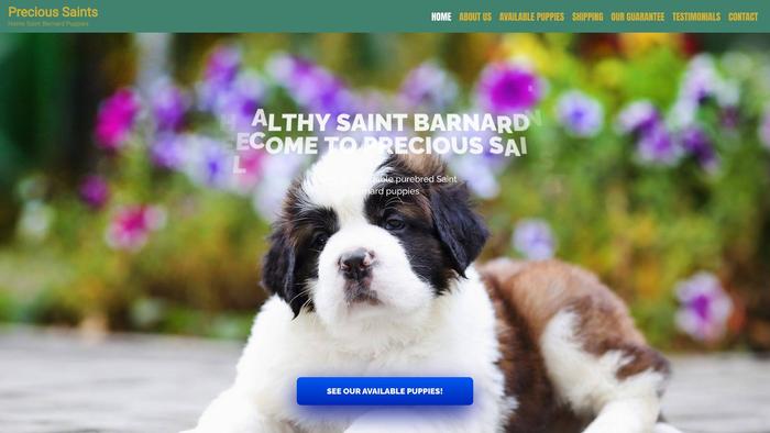 Precioussaints.com - Saint Bernard Puppy Scam Review