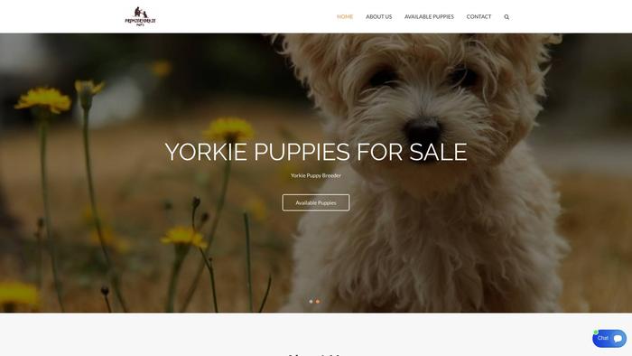 Premieryorkiepups.com - Yorkshire Terrier Puppy Scam Review