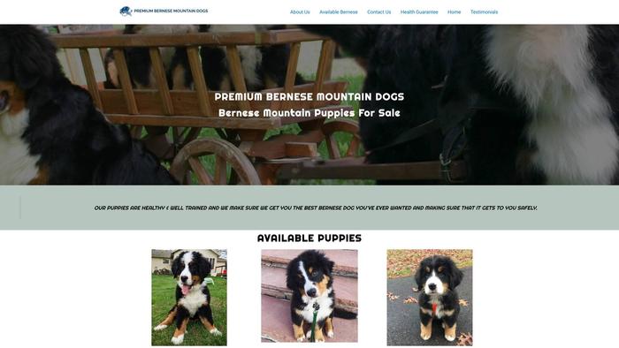 Premiumbernesemountaindogs.com - Bernese Mountain Dog Puppy Scam Review