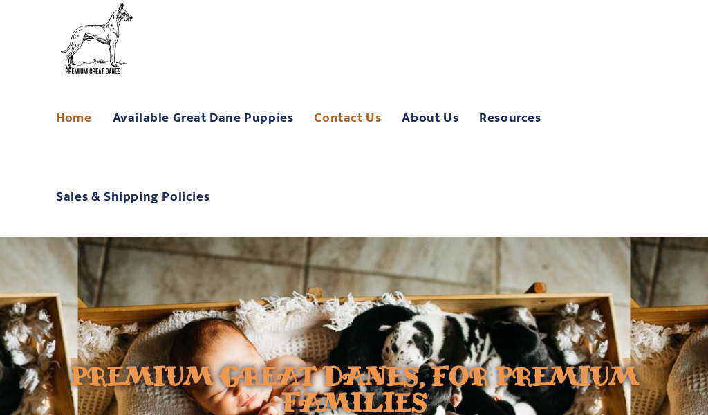 Premiumgreatdanes.com - Great Dane Puppy Scam Review