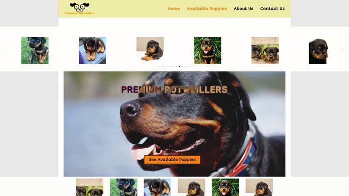 Premiumrottie.com - Rottweiler Puppy Scam Review