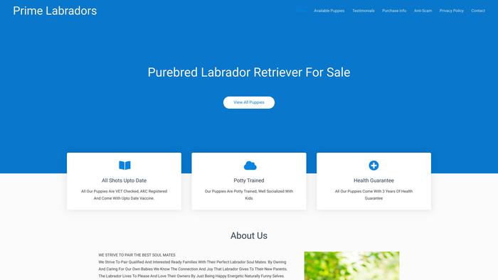 Primelabradors.com - Labrador Puppy Scam Review