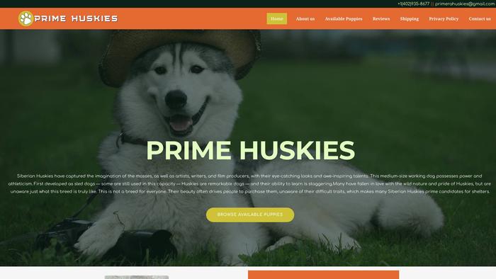 Primerahuskies.com - Husky Puppy Scam Review