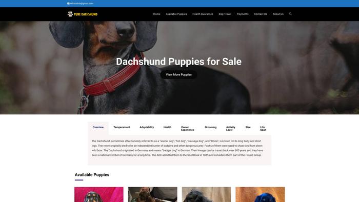 Puredachshund.com - Dachshund Puppy Scam Review