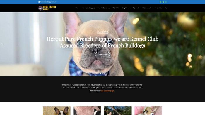 Purefrenchpuppies.com - French Bulldog Puppy Scam Review