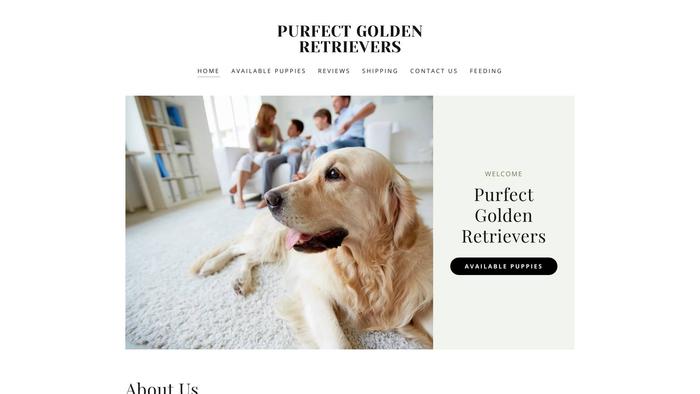 Purfectgoldenretrievers.com - Golden Retriever Puppy Scam Review