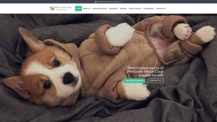 Pwelshcorgihome.com - Corgi Puppy Scam Review