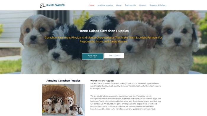 Qualitycovachon.com - Cavachon Puppy Scam Review