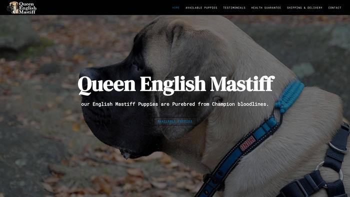 Queenenglishmastiff.com - Tibetan Mastiff Puppy Scam Review