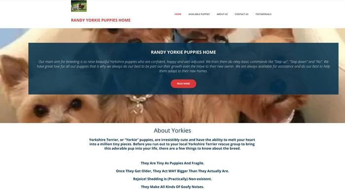 Randyyorkiehome.com - Yorkshire Terrier Puppy Scam Review