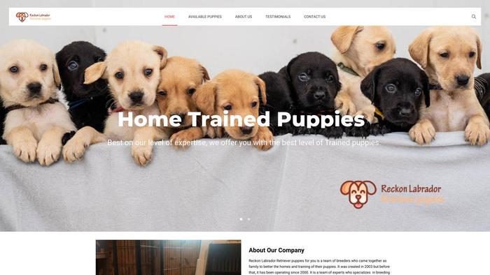 Reckonlabretriever.com - Golden Retriever Puppy Scam Review