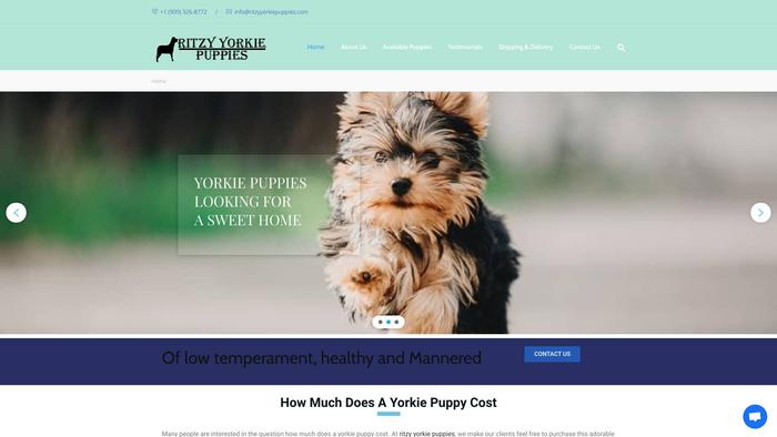 Ritzyyorkiepuppies.com - Yorkshire Terrier Puppy Scam Review