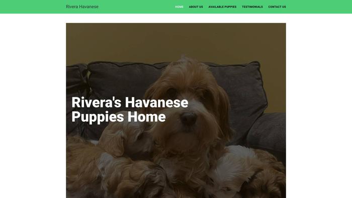 Riverahavanesepuppies.com - Havanese Puppy Scam Review