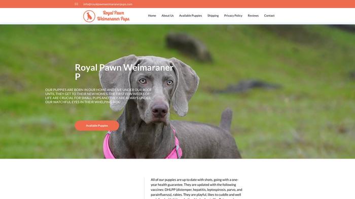 Royalpawnweimaranerpups.com - Weimaraner Puppy Scam Review