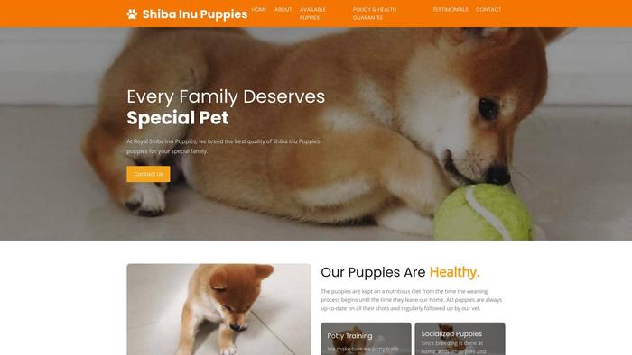 Royalshibainupuppies.online - Shibhainu Puppy Scam Review