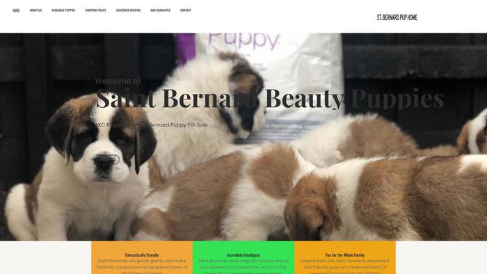 Saintbernardbeautypuppies.com - Saint Bernard Puppy Scam Review