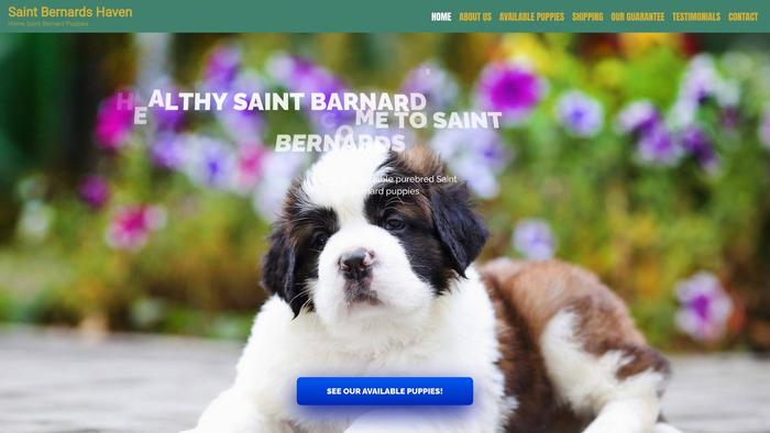 Saintbernardshaven.com - Saint Bernard Puppy Scam Review