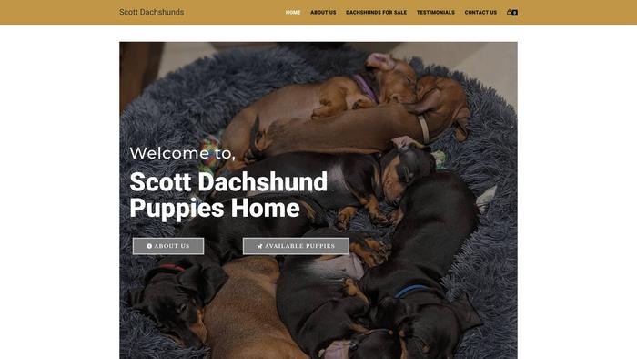 Scottdachshunds.com - Dachshund Puppy Scam Review