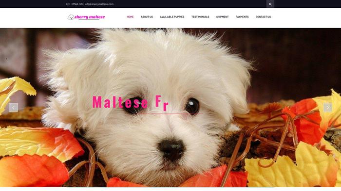 Sherrymaltese.com - Maltese Puppy Scam Review