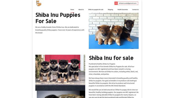 Shibuinu.com - Shibhainu Puppy Scam Review