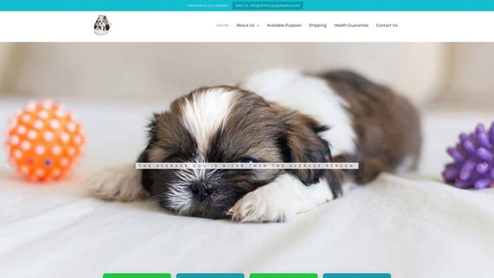 Shihtzupuppies4us.com - Shihtzu Puppy Scam Review