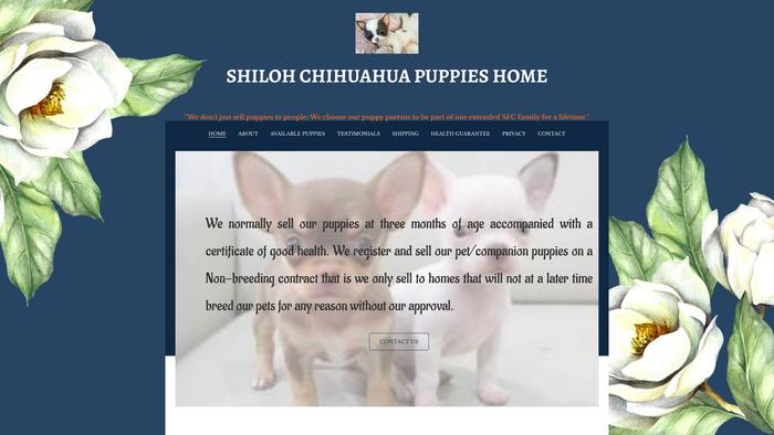 Shilohchihuahua.com - Chihuahua Puppy Scam Review