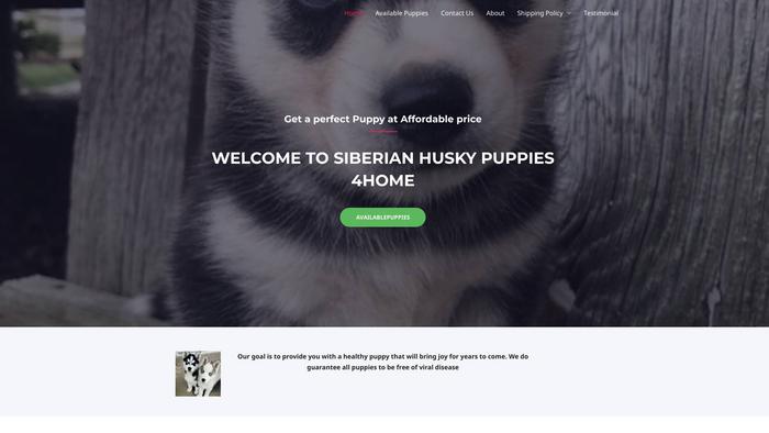 Siberianhuskypuppies4home.com - Husky Puppy Scam Review